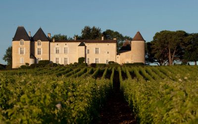 Les vins millesimes du Bordelais