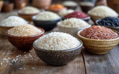 Les secrets du riz parfumé : tout savoir sur le riz et devenir incollable en cuisine asiatique