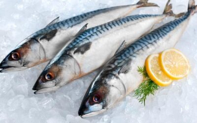 Poisson surgelé : atouts nutritionnels et astuces pour un repas rapide et sain